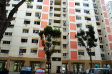 Blk 149 Petir Road (Bukit Panjang), HDB 3 Rooms #218802